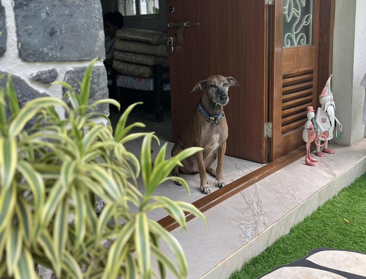 Angel House -Your Private Pet Friendly Haven Лонавла Екстер'єр фото